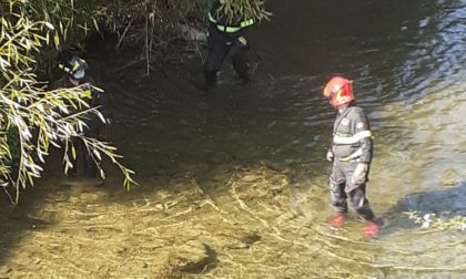 Vigili del fuoco salvano airone