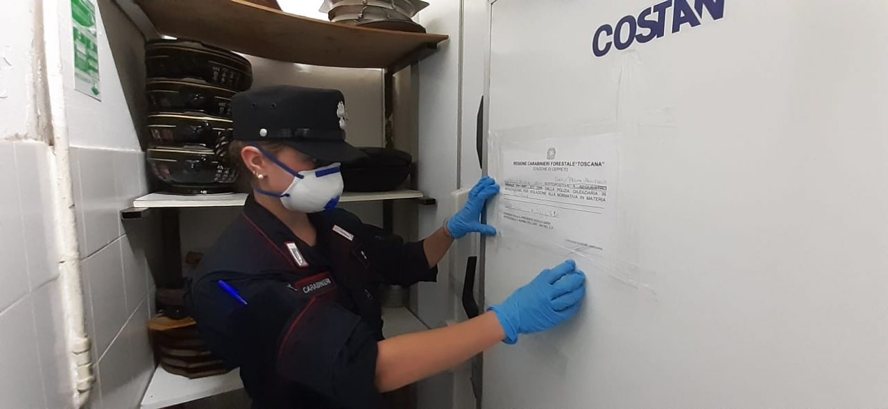Colonie di scarafaggi in frigorifero: multa e sequestro di alimenti per ristorante cinese a Campi Bisenzio