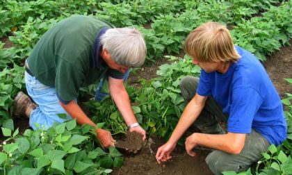 Agricoltura in crisi, le "montagne russe" climatiche devastano i raccolti