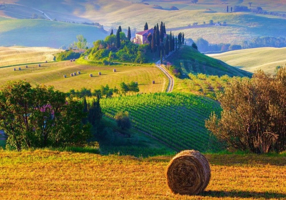 #Iocomprotoscano l’iniziativa dei nostri settimanali per valorizzare i prodotti del territorio – I VIDEO