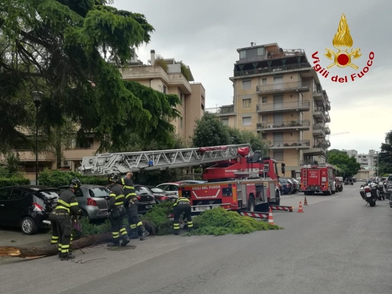 Cade grosso ramo: danneggiate due auto – LE FOTO