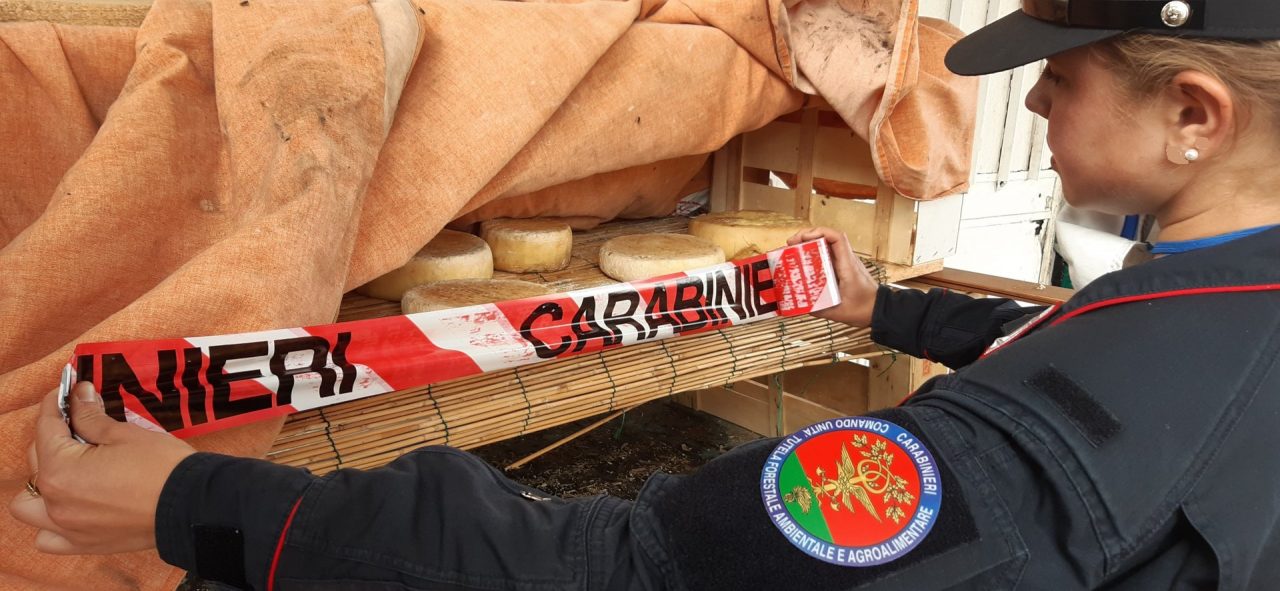 A Signa denunciato un allevatore: sequestrati una 30ina di formaggi – LE FOTO