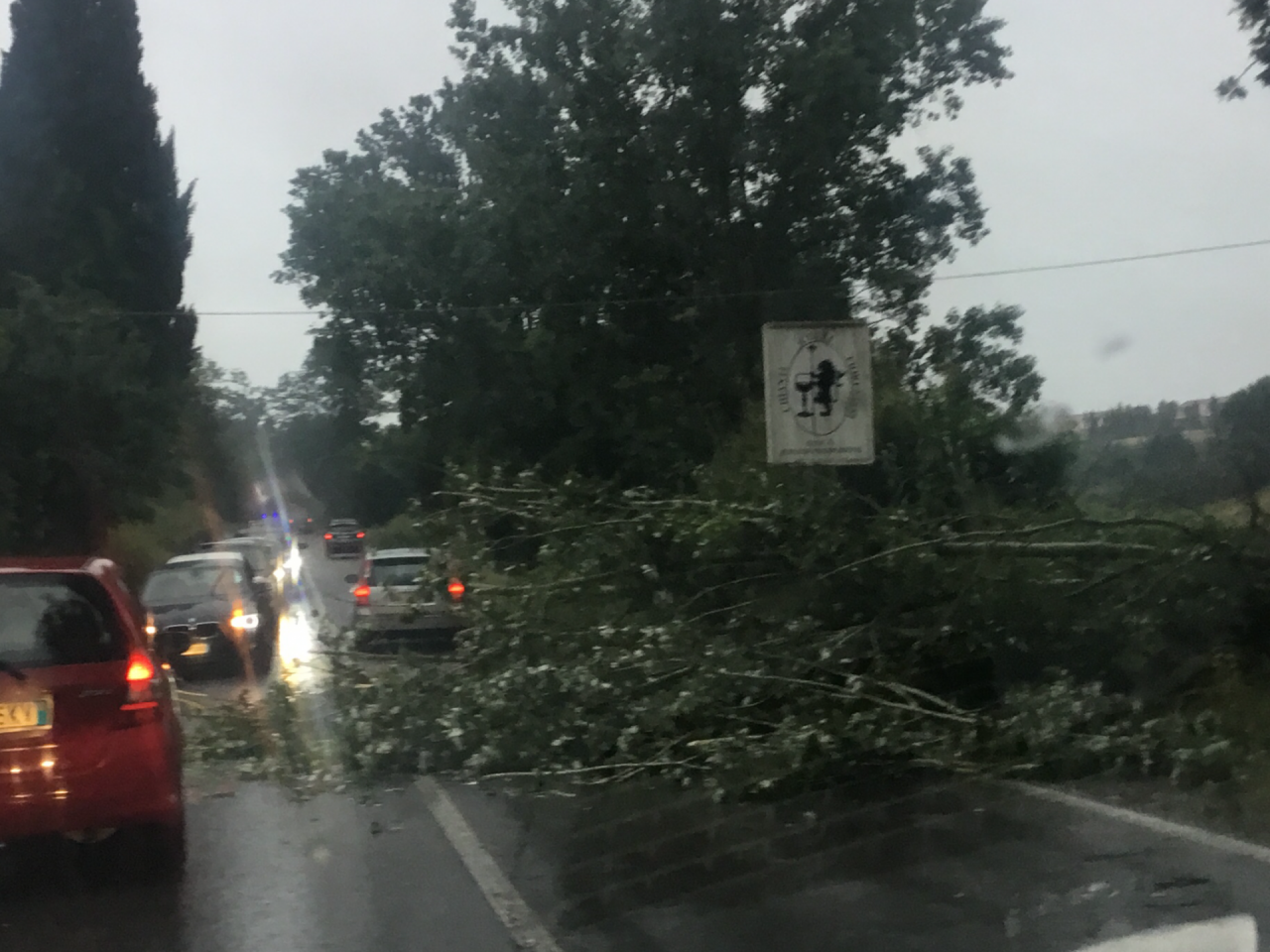 Via Maremmana: sono caduti grandi rami di albero