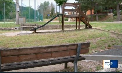 Parco dell’Oliveta: nuova mozione dell’opposizione