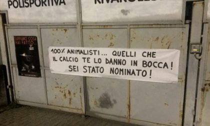 Striscione  contro il ragazzino che ha ucciso a calci un riccio