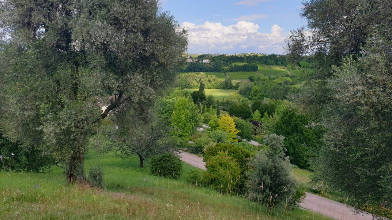Biologico: la Toscana ai vertici nazionali