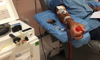 Plasma iperimmune, prime donazioni a S.M.Annunziata. Tra loro anche una donna. "Non tutte sono arruolabili"