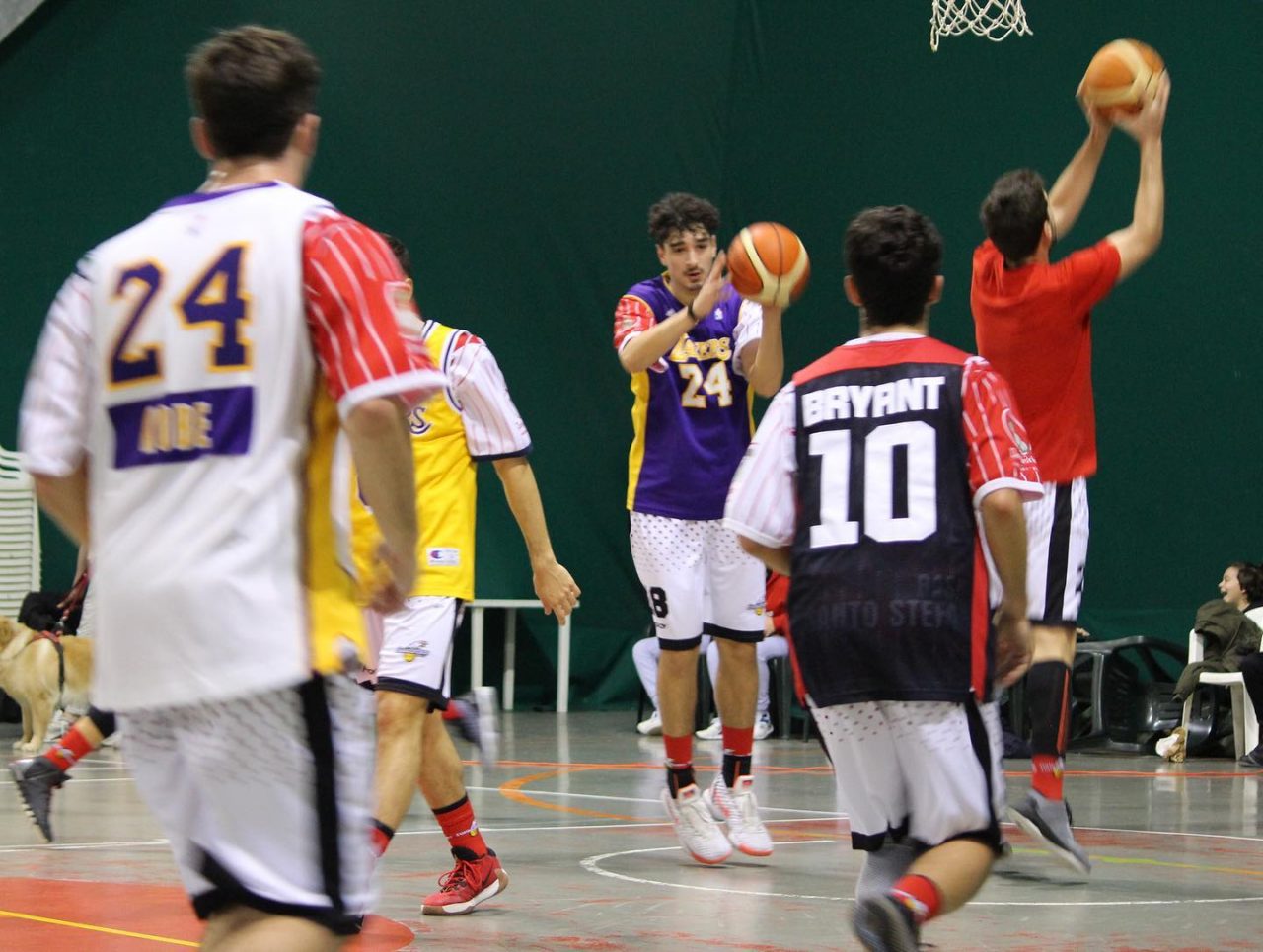 Santo Stefano Basket riparte: “le attività sportive dei biancorossi in completa sicurezza”