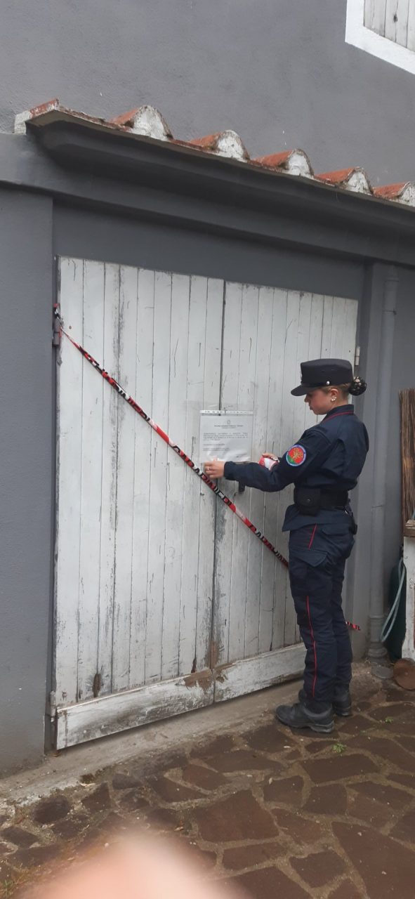 Tagliava le orecchie ai cani: denunciato per maltrattamenti