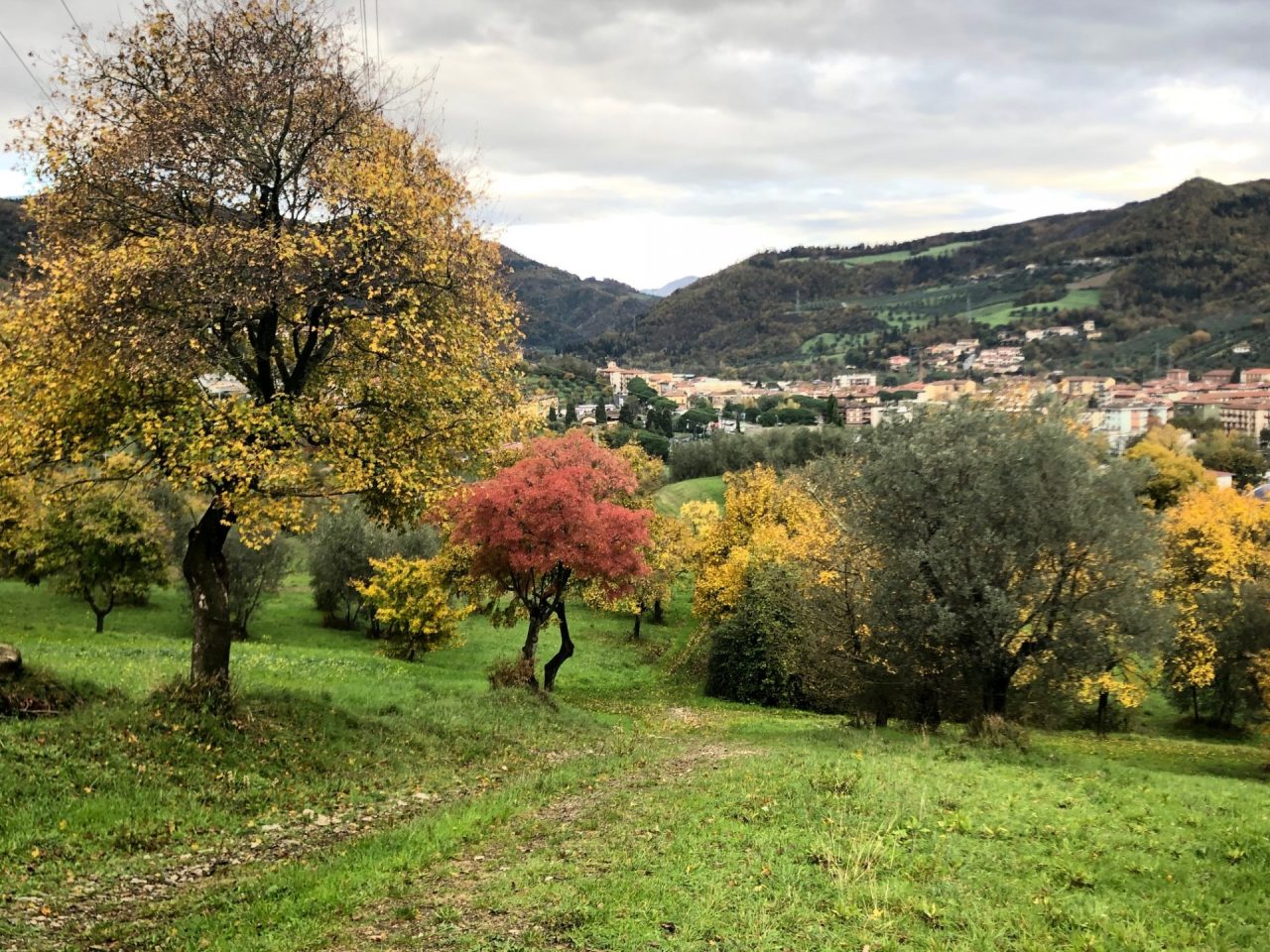 Per la prima volta c’è un progetto di promozione in Vallata