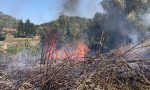 Incendio a Poggio alla Malva, nella zona di via Pineta