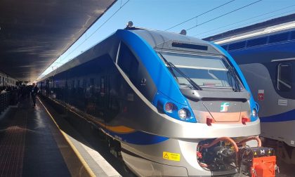 Tre gattini abbandonati arrivano in treno da Napoli a Firenze Santa Maria Novella