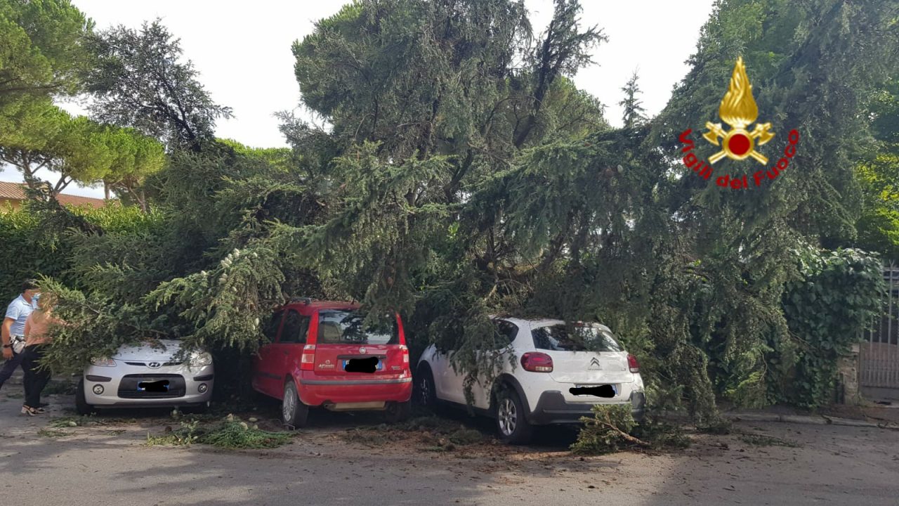 Grosso albero cade sopra tre auto GUARDA L E FOTO