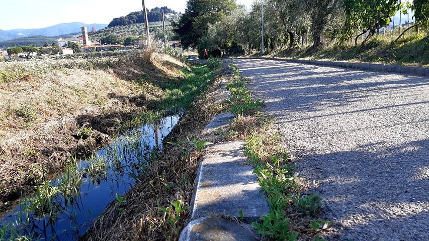 Al via giovedì 20 agosto i lavori per risolvere il problema dei cattivi odori in via Selvavecchia