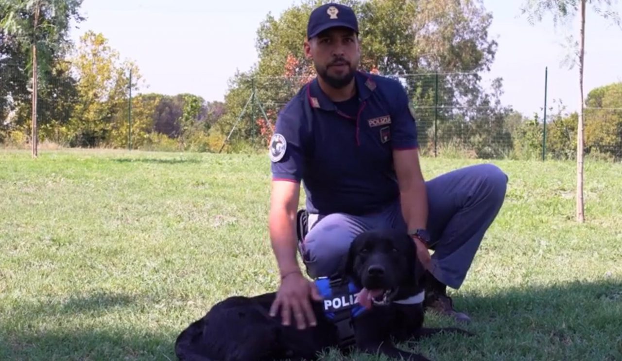 Se non ti porto non parto: il video della Polizia di Stato contro gli abbandoni degli animali – GUARDA IL VIDEO