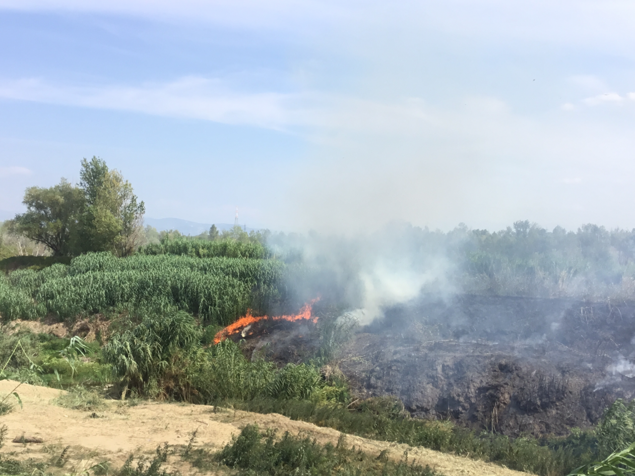 Incendio in corso a Signa sull’alveo del fiume Bisenzio: sul posto i vigili del fuoco – GUARDA LE FOTO