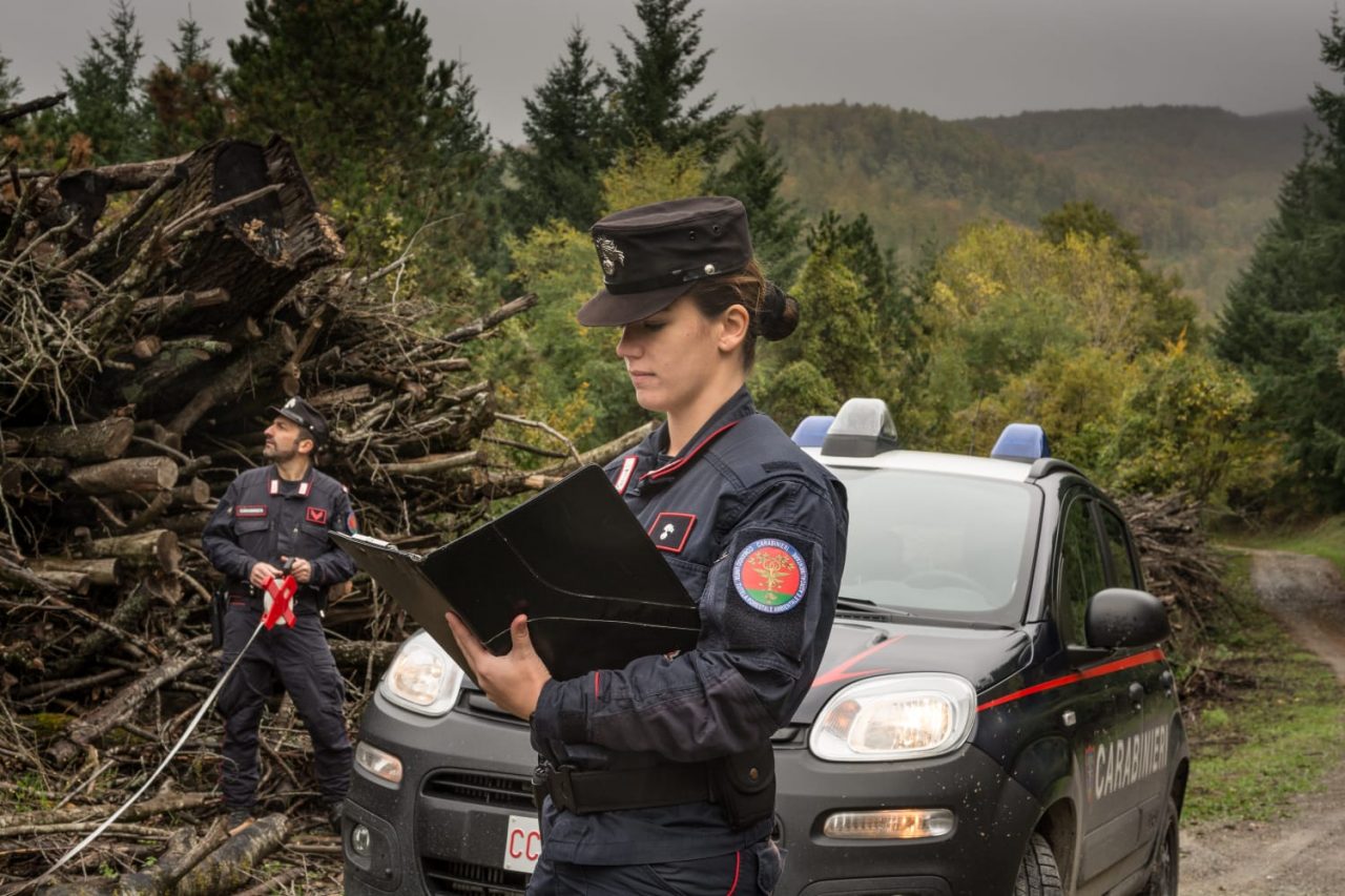 Doveva pulire il bosco per evitare l’arrivo dei cinghiali e invece è nata una pista fra gli alberi: un denunciato a Capraia e Limite