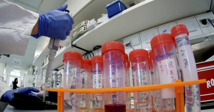 Lucca, ricoverato paziente con sintomi del virus del Congo: “Lavoro di verifica. Nessun rischio”