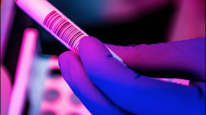 Coronavirus, 452 nuovi positivi in Toscana l’8 gennaio: 10 vittime a Firenze, 2 a Prato