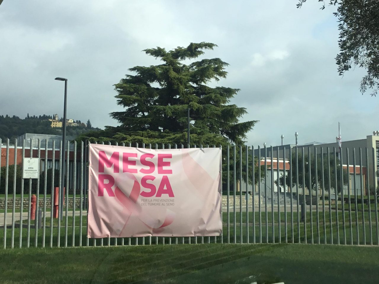 Mese Rosa, anche Eli Lilly partecipa alla campagna di prevenzione contro il tumore al seno