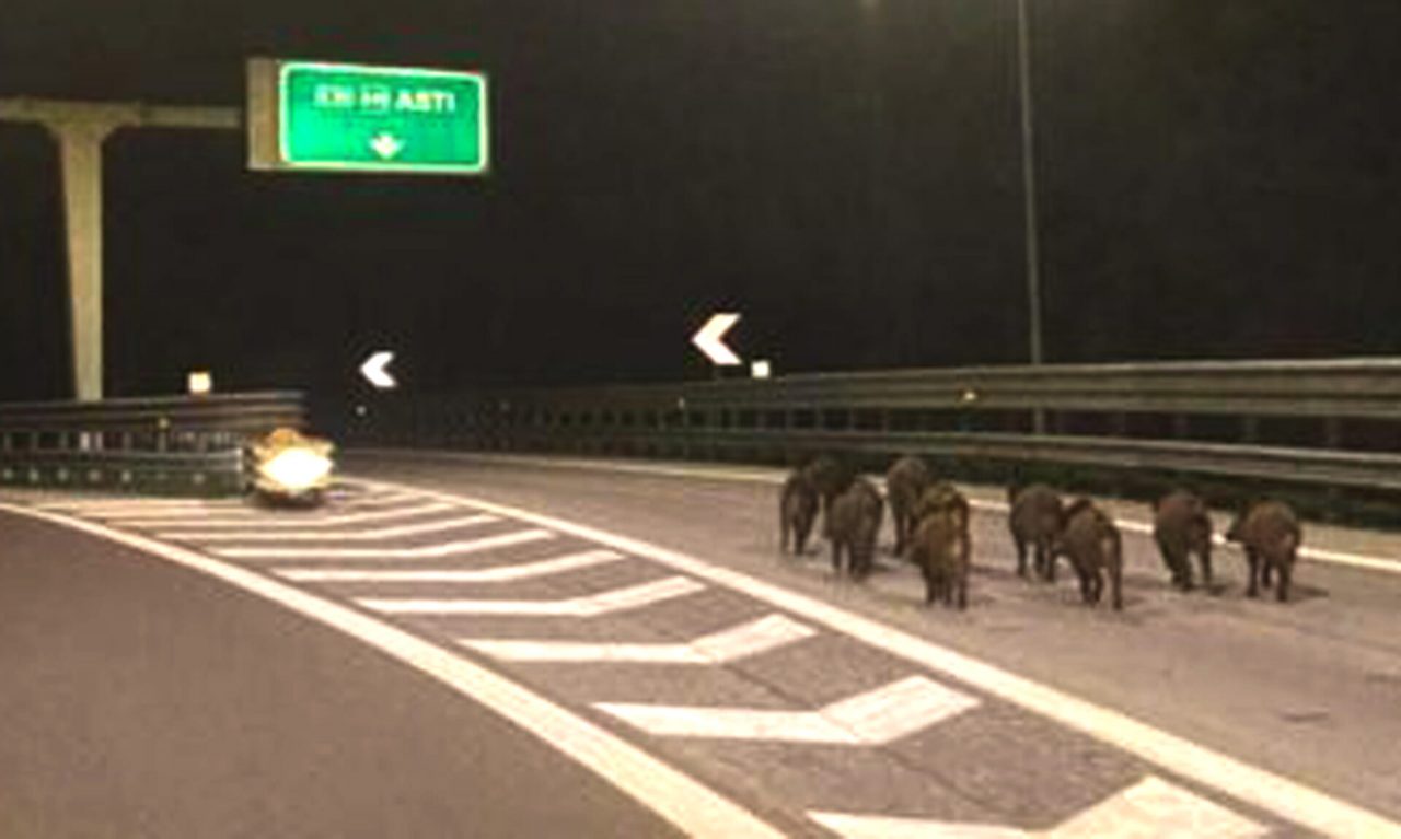 A11 Firenze-Pisa nord: chiuso per una notte il tratto compreso tra Pisa nord e l’allacciamento con il Raccordo Lucca-Viareggio, verso Firenze