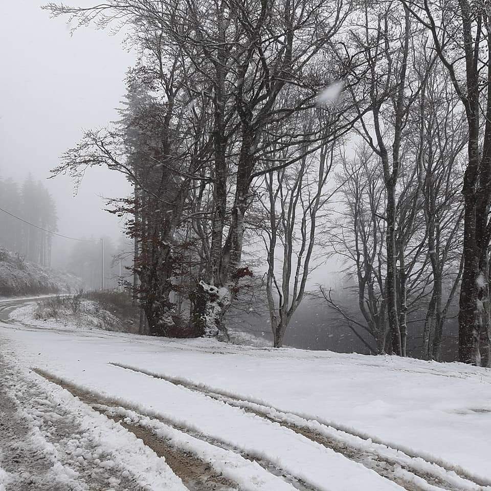 Arriva la prima neve a Montepiano, nella zona di Gasperone LE FOTO