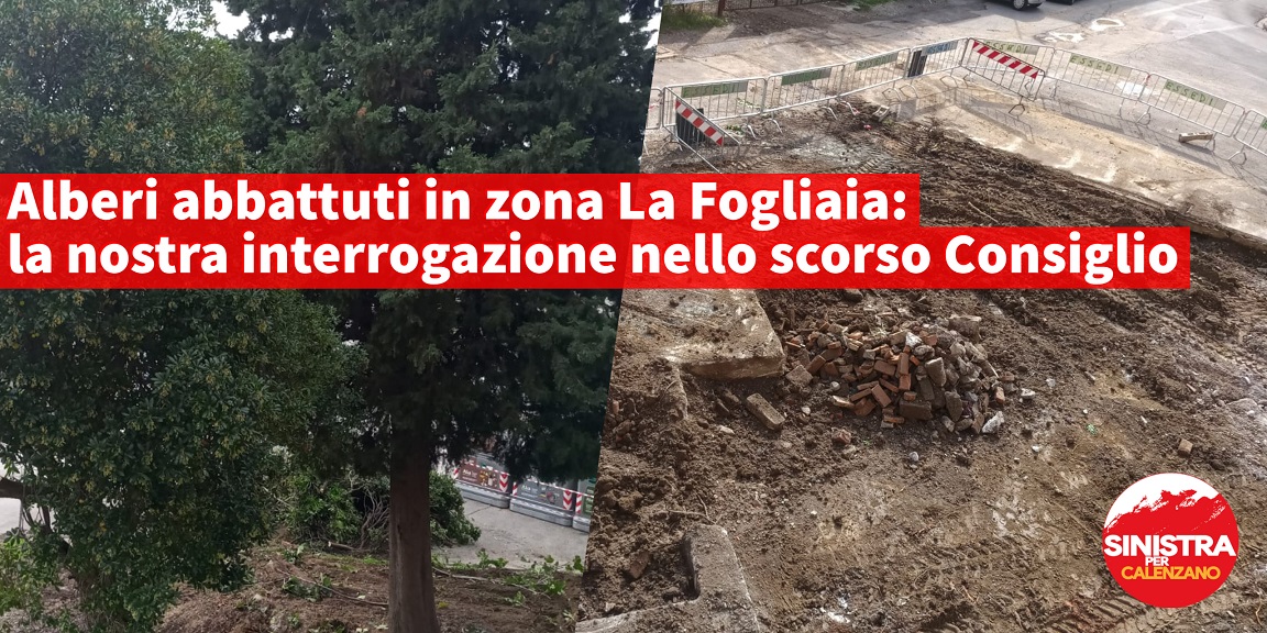 Alberi abbattuti nella zona de La Foglia, interrogazione della Sinistra per Calenzano
