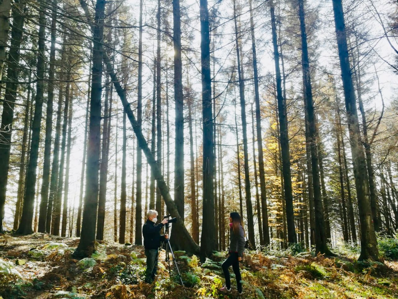 Tagli boschivi, Galletti (M5S):“Legge impugnata dopo la nostra lettera al Ministero. PD adesso ascolti anche la nostra voce”