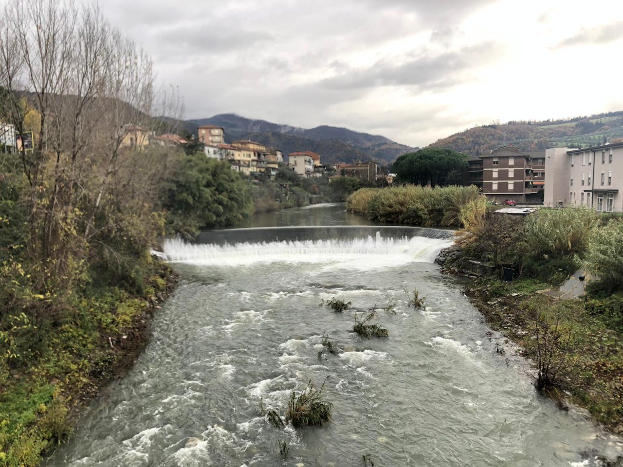 cane cade bisenzio via mazzini vaiano