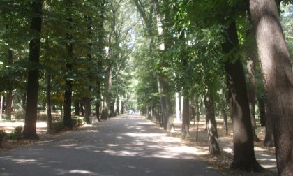 Tenta il suicidio al Parco delle Cascine, salvato da Carabinieri Forestali, 118 e Vigli del Fuoco