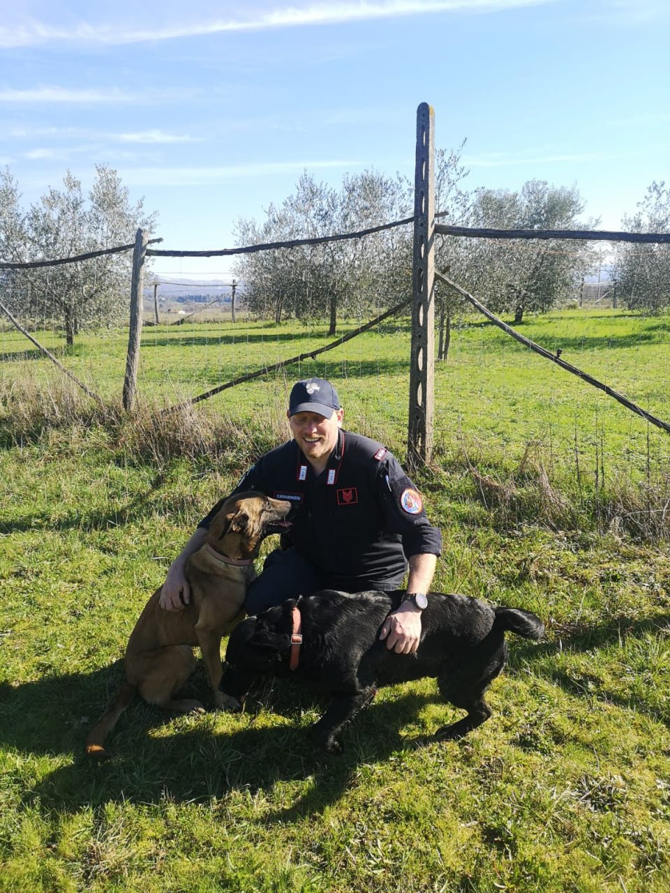 I cani del Reparto antiveleno per scovare i bocconi mortali