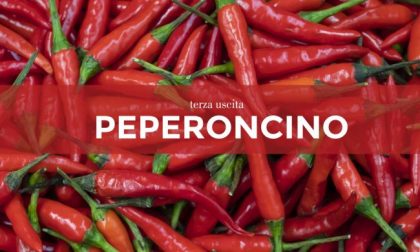 Tutti ortisti: in edicola con Bisenziosette i semi di peperoncino