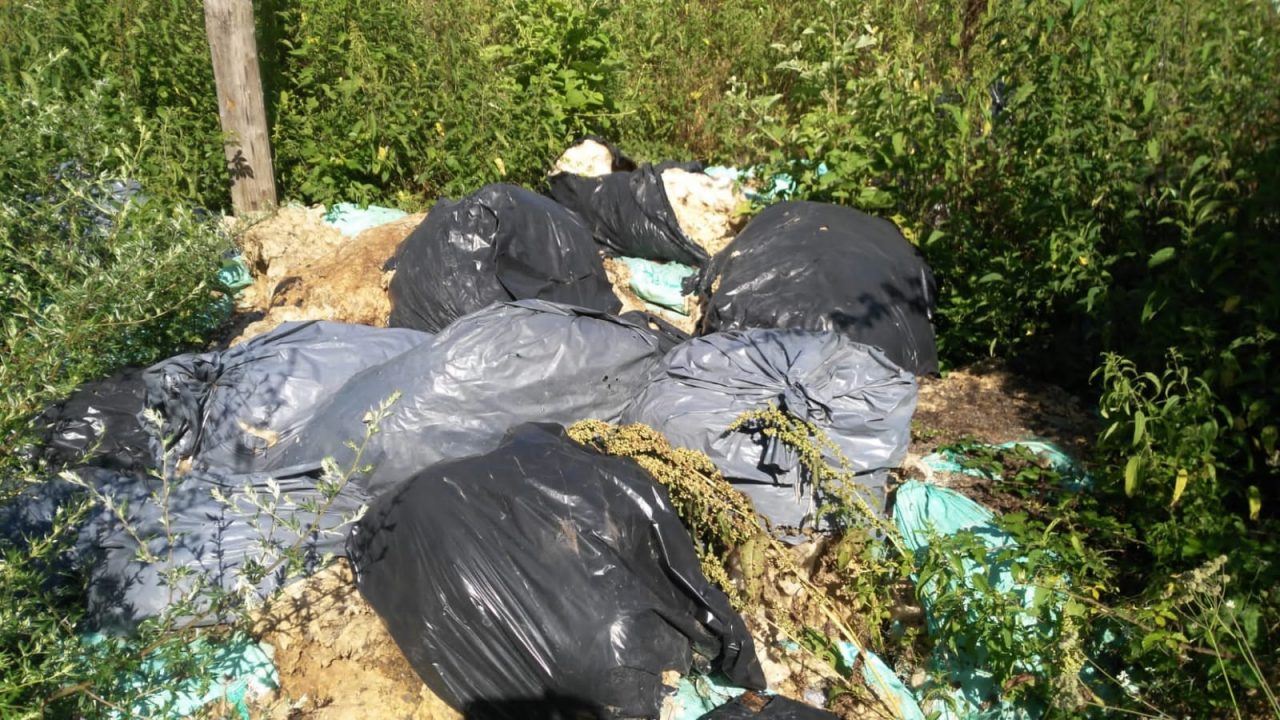 Trovati 30 sacchi abbandonati contenenti lana di pecora