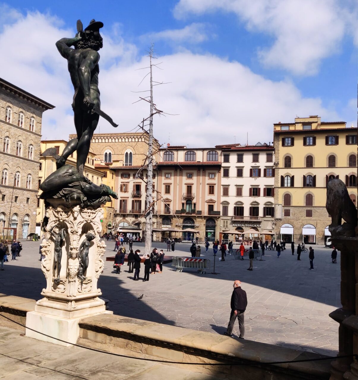 Dantedì: in piazza Signoria sorge un albero “del paradiso” di Giuseppe Penone
