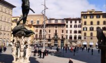 Dantedì: in piazza Signoria sorge un albero "del paradiso" di Giuseppe Penone