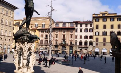 Dantedì: in piazza Signoria sorge un albero "del paradiso" di Giuseppe Penone