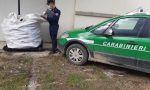 A Scarperia e San Piero denunciato titolare di una ditta