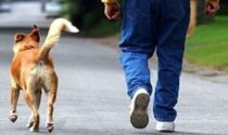 Guardie zoofile Enpa al lavoro a Firenze: sanzionati proprietari di cani senza guinzaglio