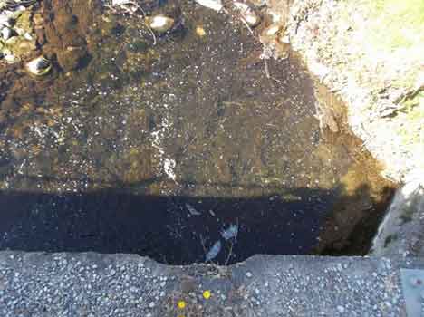 Schiume sul Torrente Resco