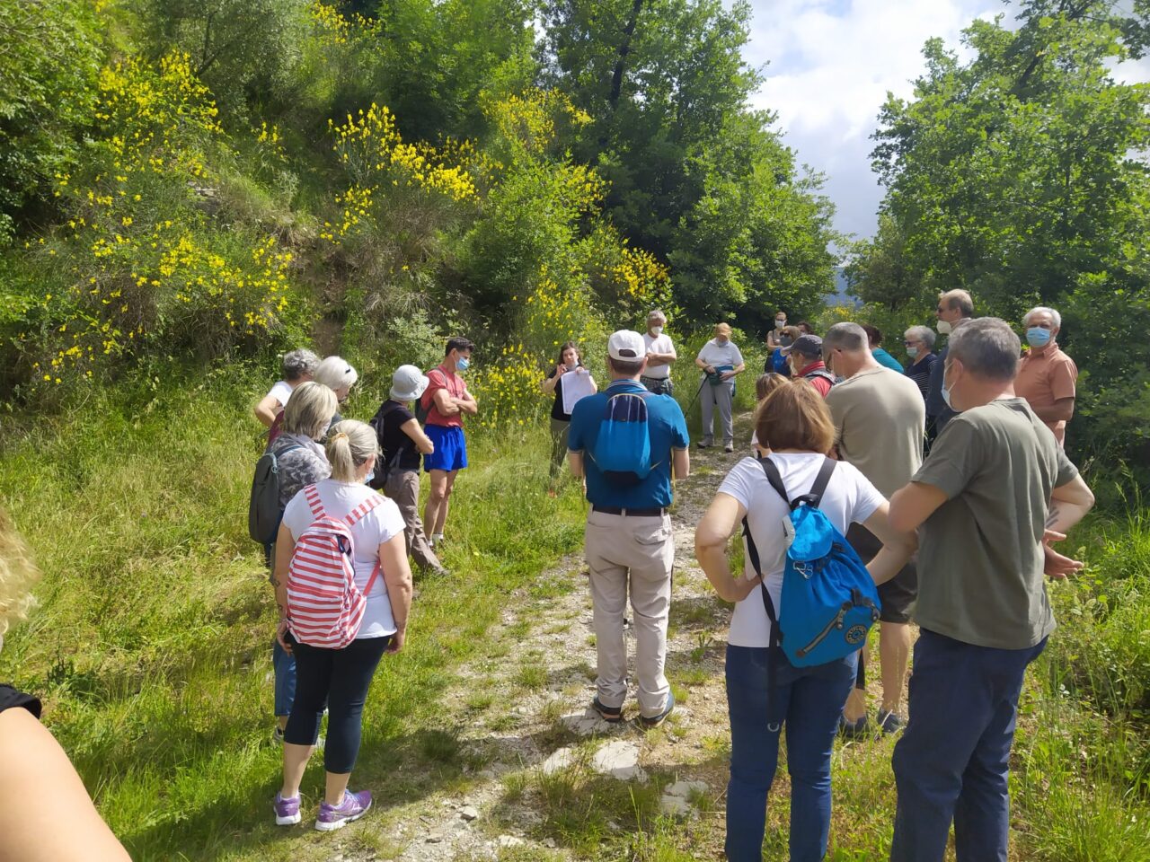 Per il solstizio d’estate escursione da San Leonardo alla Calvana