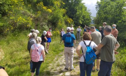 Per il solstizio d'estate escursione da San Leonardo alla Calvana