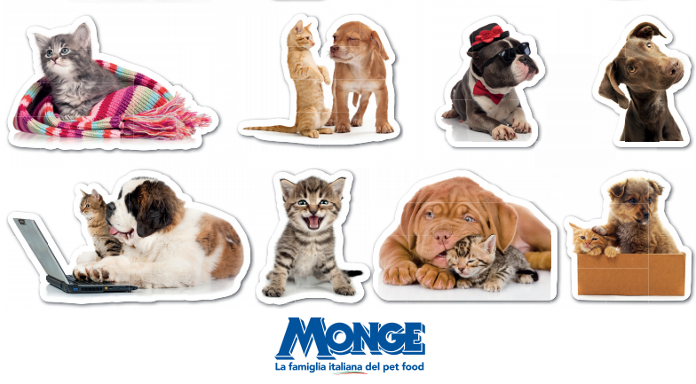 Originali stickers in regalo col giornale Bisenziosette