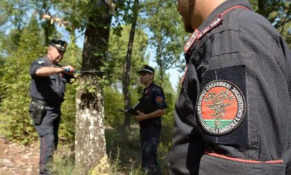 Denunciato imprenditore agricolo a Capraia e Limite