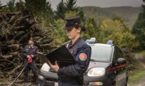 Spostano terra e modificano il pendio di una collina in area vincolata: sanzionati in due a Firenzuola