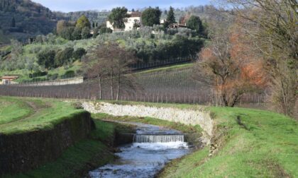 Via ai tagli selettivi lungo il torrente Furba