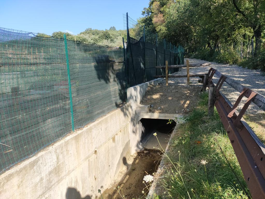 Più sicurezza idraulica per l’abitato di Carraia