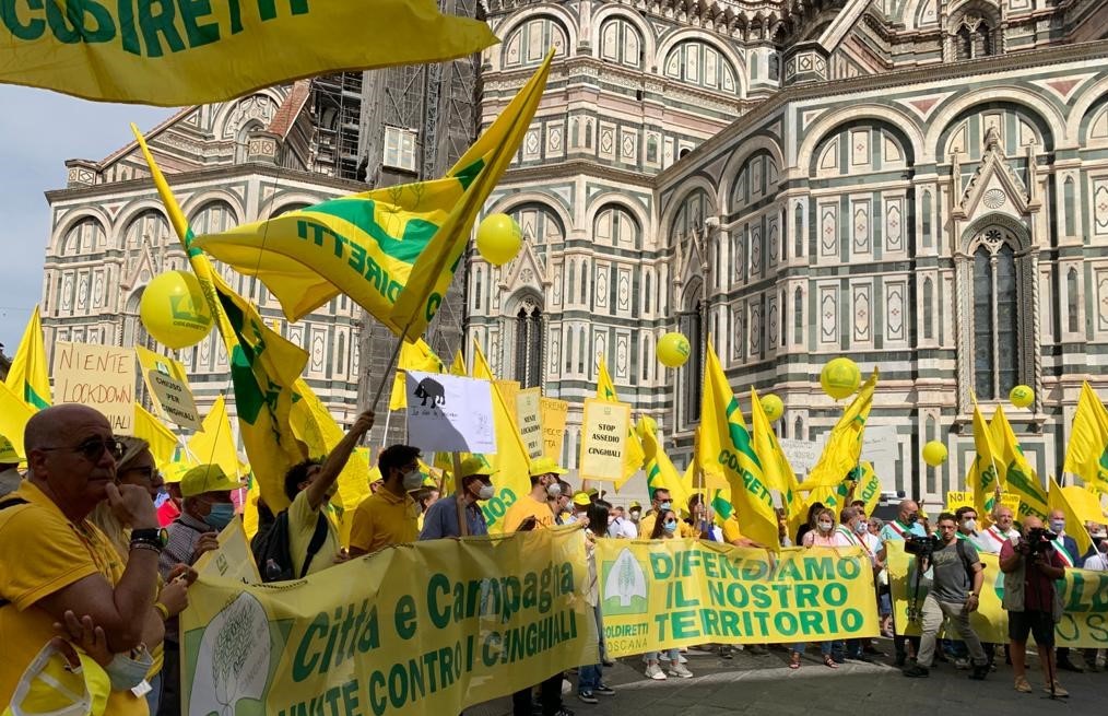 Invasione dei cinghiali, la testimonianza dell’agricoltore pistoiese a Firenze