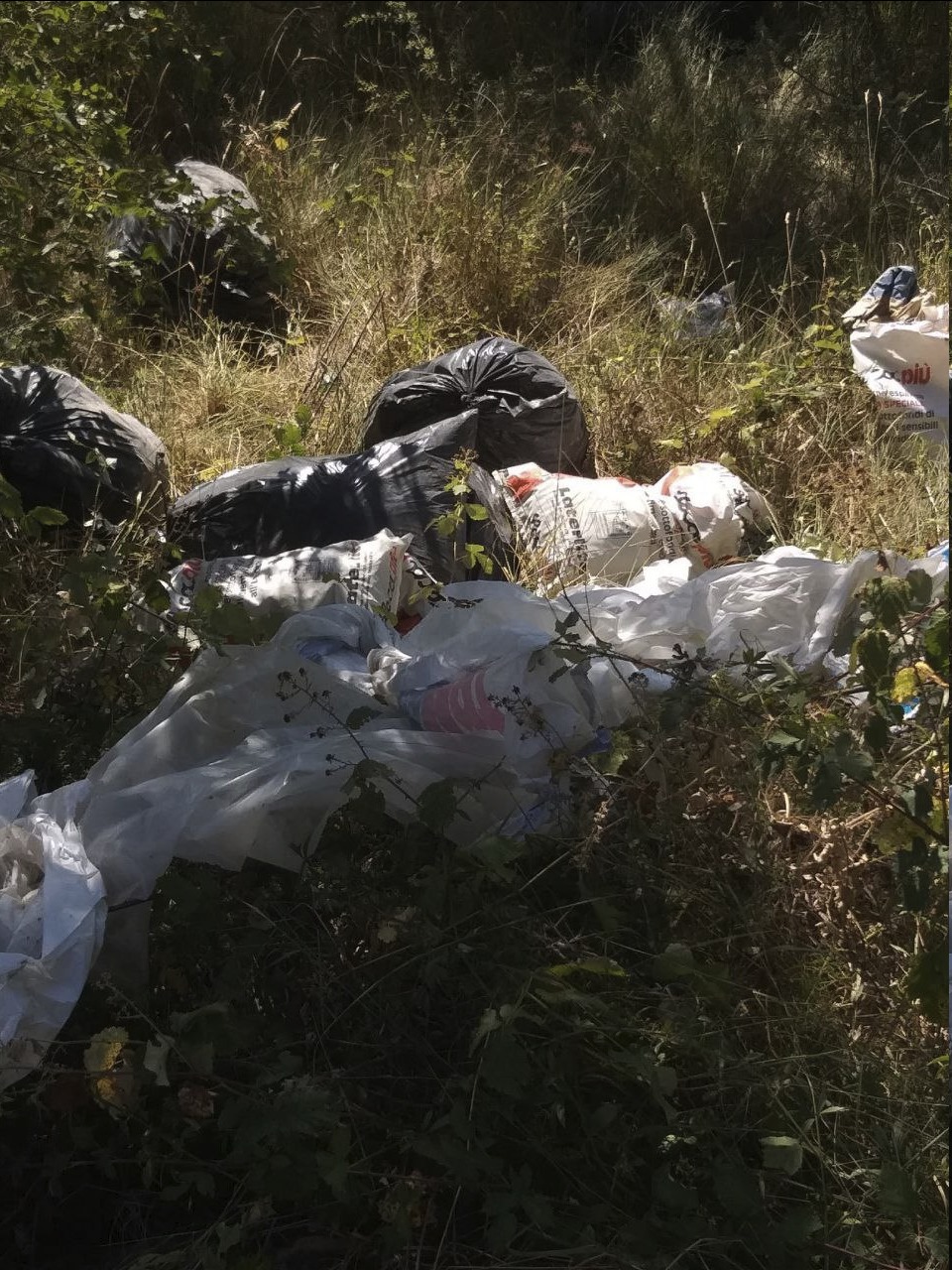 Rifiuti abbandonati a Moriano, intervento degli ispettori ambientali
