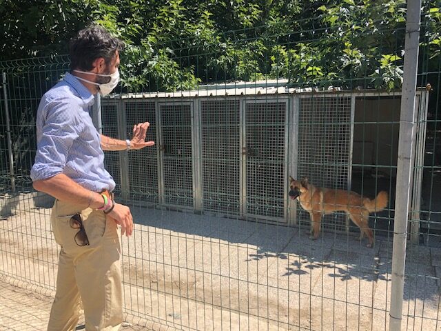 Accolti al Rifugio 10 dei 71 cani provenienti dalla struttura abusiva sequestrata a Molazzana