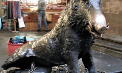 Sottrae le monete dalla fontane del Porcellino